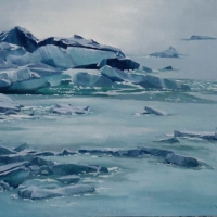 fallen ice on cavell pond