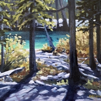 grassi lake
