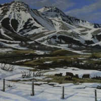 in the foothills