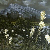 wildflowers standing before mount rundle