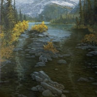 lake o'hara outlet view