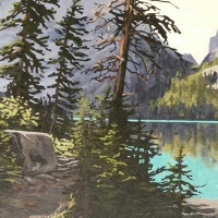 lake o'hara shoreline trail