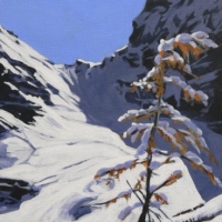 larch showing colour under snow
