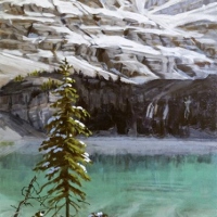 lone tree catching the light