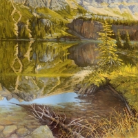 morning reflection - lake o'hara