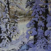snow laden trees