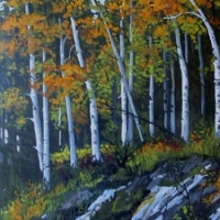 aspen in fall colour