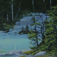 cool forest water